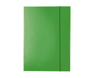 Mapa cu elastic Esselte Economy, carton, A4, verde
