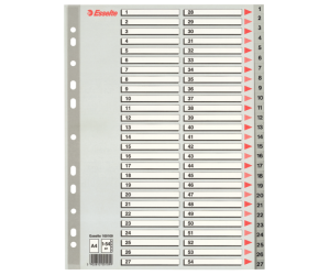 Index Esselte, plastic, A4, 1-54, gri