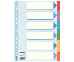Separatoare Esselte, carton, A4, 6 taste, multicolor