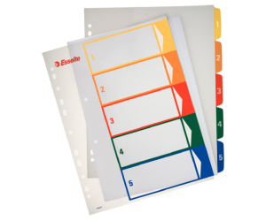 Index Esselte, imprimabil, PP, A4, 1-5, multicolor