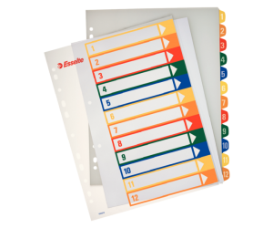 Index Esselte, imprimabil, PP, A4, 1-12, multicolor Index Esselte, imprimabil, PP, A4, 1-12, multicolor