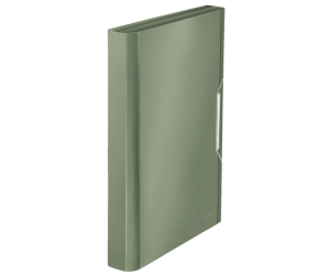 Mapa tip proiect Leitz Style, PP, A4, 250 coli, fistic