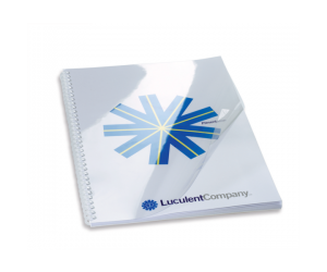 Coperta legare documente GBC, PVC, A4, 250 mic, 50 buc/set, transparent