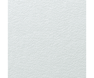 Coperta legare documente GBC ReGency, carton cu aspect de piele, A4, 325 gsm, 100 buc/set, alb