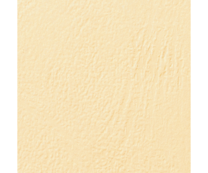 Coperta legare documente GBC, carton cu aspect de piele, A4, 250 gsm, 100 buc/set, ivory